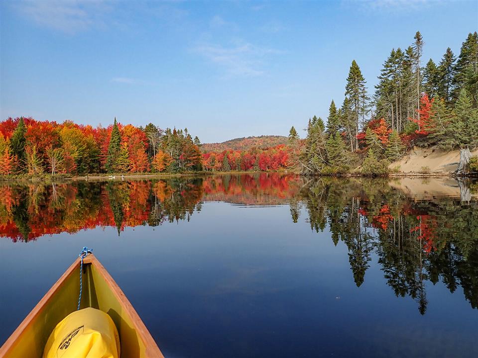 TOP ĐỊA ĐIỂM NGẮM LÁ PHONG ĐẸP NHẤT CANADA