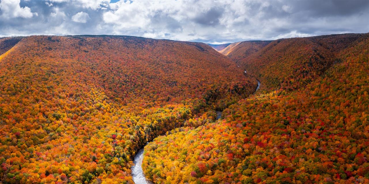 TOP ĐỊA ĐIỂM NGẮM LÁ PHONG ĐẸP NHẤT CANADA