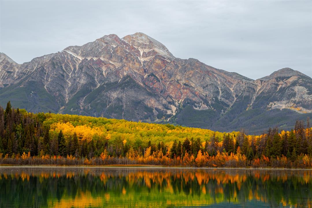 TOP ĐỊA ĐIỂM NGẮM LÁ PHONG ĐẸP NHẤT CANADA